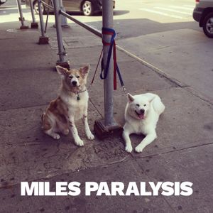 Miles Paralysis