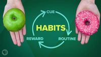 How Habits are Formed