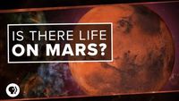 Is There Life on Mars?