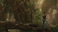 Borneo