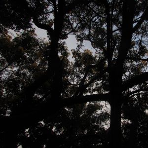 Cerros (EP)