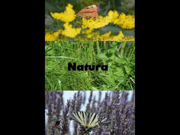 Natura