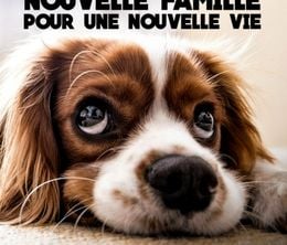 image-https://media.senscritique.com/media/000018015993/0/Animaux_a_adopter_nouvelle_famille_pour_une_nouvelle_vie.jpg