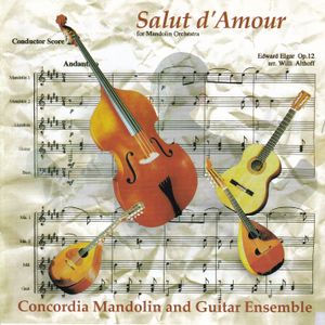 Concerto in A major: Allegro Moderato