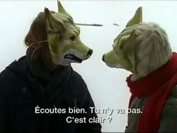 Des chiens dans la neige