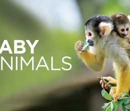 image-https://media.senscritique.com/media/000018031087/0/baby_animals.jpg