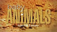 Survival Lessons