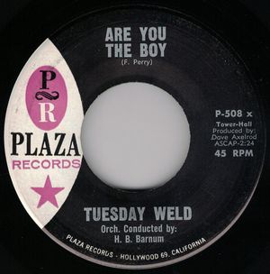Are You the Boy? / All Through Spring and Summer (Single)