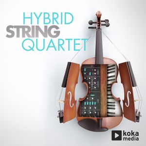 Hybrid String Quartet