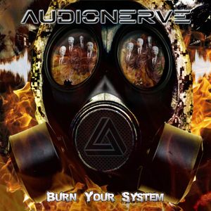 Burn Your System