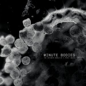 Minute Bodies: The Intimate World of F. Percy Smith (OST)