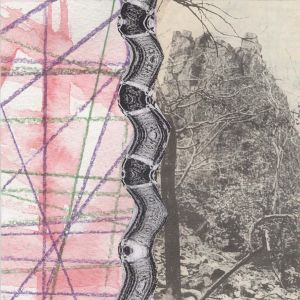Untitled 6