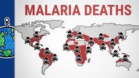 Why Malaria Isn’t Just a Tropical Disease
