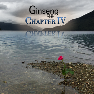 Chapter IV