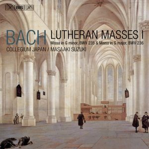 Lutheran Mass in G minor, BWV 235: Qui tollis (Tenore)