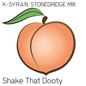 Shake That Booty (Stonebridge mix)