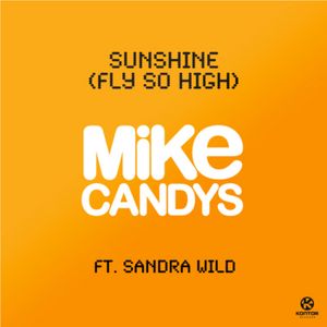 Sunshine (Fly So High) (Single)