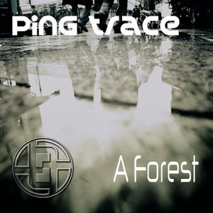 A Forest (Single)