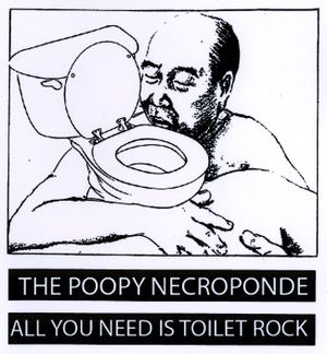 All You Need Is Toilet Rock