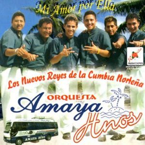 Amaya Hnos Colección 2011