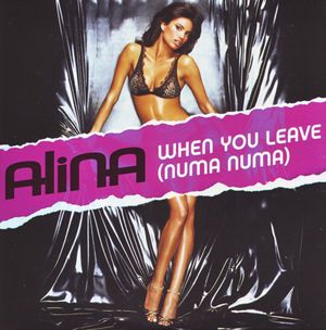 When You Leave (Numa Numa) (Cahill Radio Edit)