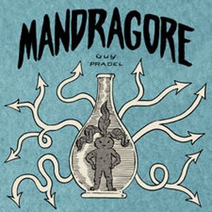 Mandragore