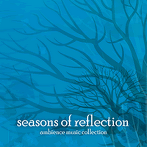 Seasons of Reflection: Winter