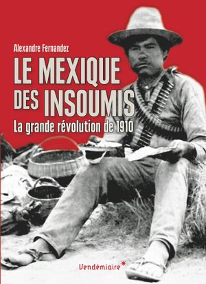 le Mexique des insoumis