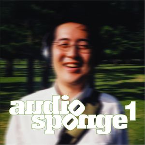 Audio Sponge 1
