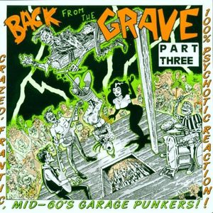 Back From The Grave Part Three (Crazed, Frantic, Mid-60's Garage Punkers! 100% Psychotic Reaction!)