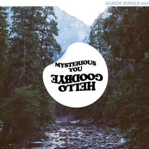 Mysterious You (Single)