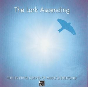 The Lark Ascending: The Uplifting Sound of Music & Birdsong