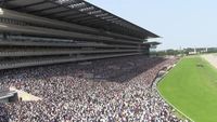 The Race before the Japanese Derby