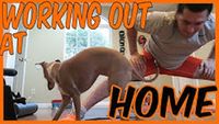 Working Out At Home