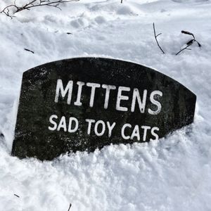 Mittens