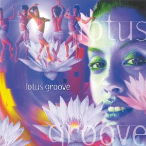 Lotus Groove