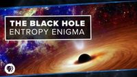 The Black Hole Entropy Enigma