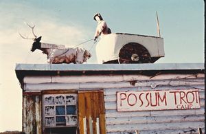 Possum Trot : The life and work of Calvin Black
