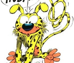 image-https://media.senscritique.com/media/000018076350/0/marsupilami_houba_houba_hop.jpg