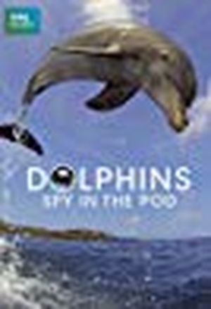Dolphins - Spy in the Pod