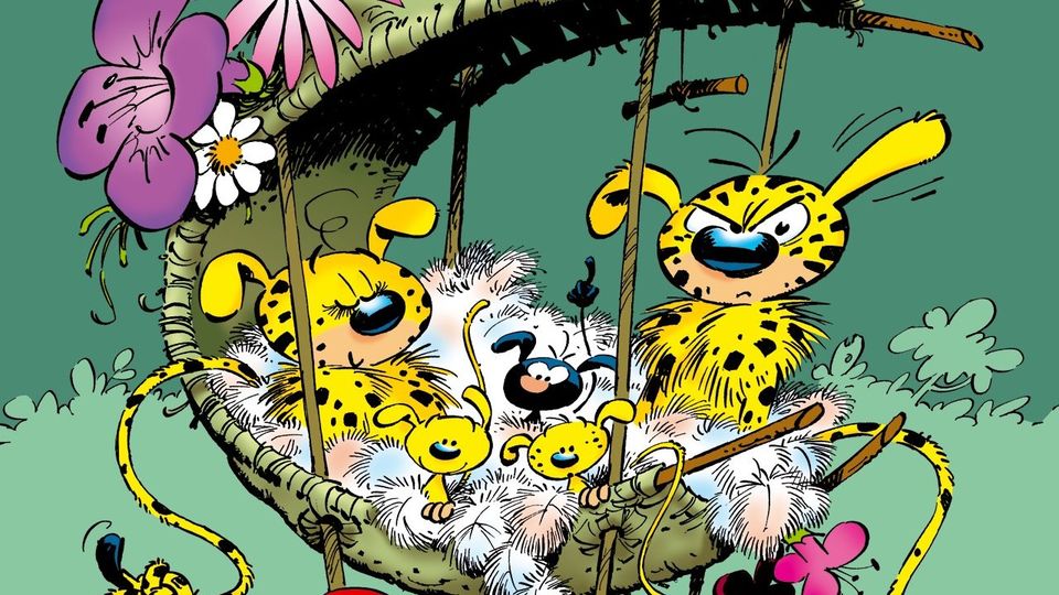 https://media.senscritique.com/media/000018078194/960/mon_ami_marsupilami.jpg