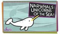 Narwhals: Unicorns of the Sea!