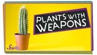 Plants with Weapons!