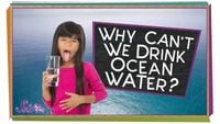 Why Can't We Drink the Ocean?