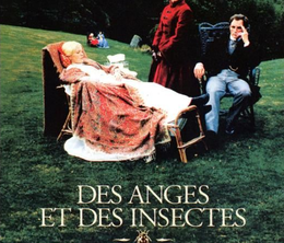image-https://media.senscritique.com/media/000018079248/0/des_anges_et_des_insectes.png