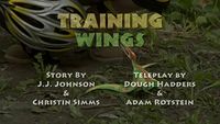 Training Wings