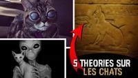 5 THEORIES SUR LES CHATS