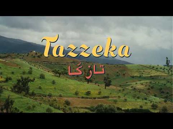 Tazzeka