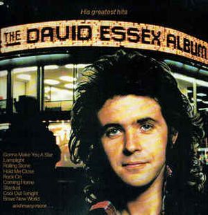 The David Essex Album