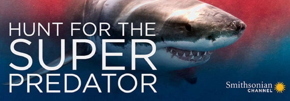 Cover Hunt for the Super Predator